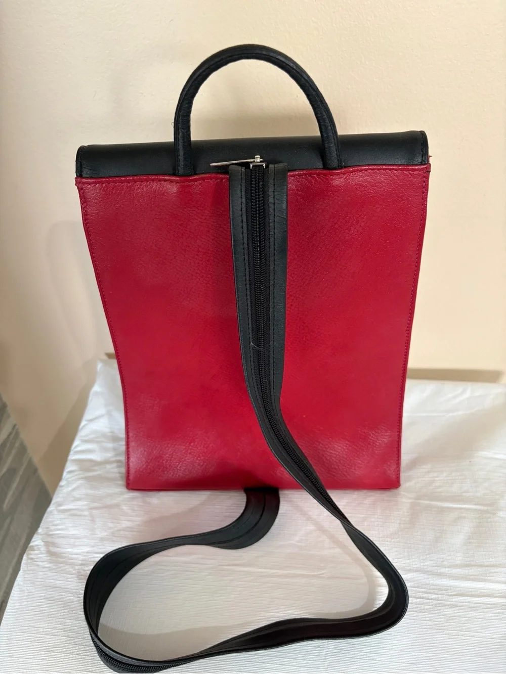 Cleo and Patek Paris Black and Red Leather Backpack